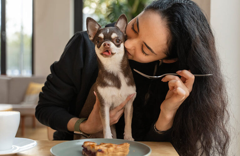 De-Beste-Hondenvoer-en-Snacks-voor-Je-Trouwe-Vriend